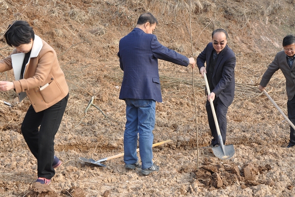 法院幹警植樹忙 光州大地添新綠 - 光山縣法院網